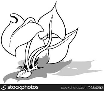 Drawing of a Entwined Plant with Large Leaves - Cartoon Illustration Isolated on White Background, Vector