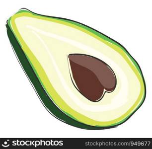 Drawing of a fresh large avocado which is cut slice showing its hard seed vector color drawing or illustration