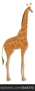 Drawing of a giraffe vector illustration