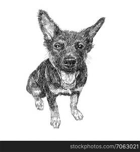 Drawing of black dog sitting on white background.. Drawing of black dog sitting on white background, vector illustration