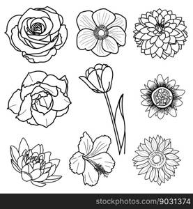 Drawing of blossom flowers bundle, isolated on white, vector illustration.
