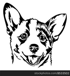 Drawing of Corgi dog portrait isolated on white, vector illustration
