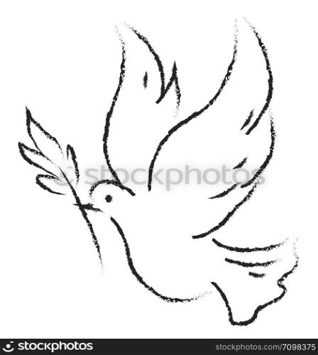 Drawing of dove, illustration, vector on white background.