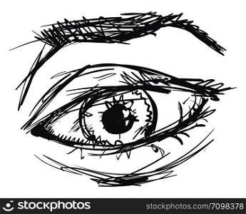 Drawing of eye, illustration, vector on white background.