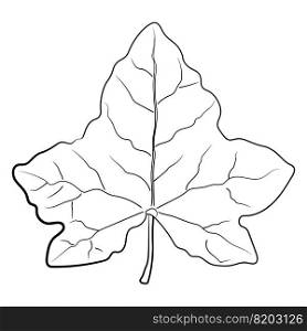Drawing of leaf isolated on white, vector illustration.