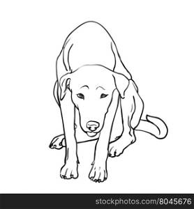 Drawing of sad stray dog sitting on white background