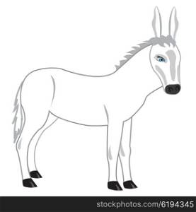 Drawing of the burro on white background. Drawing of the burro