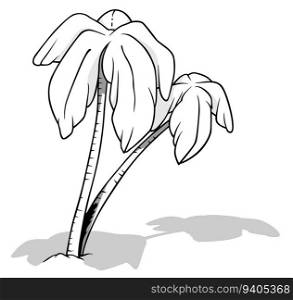 Drawing of Two Coconut Palms with a Drop Shadow on the Ground - Cartoon Illustration Isolated on White Background, Vector