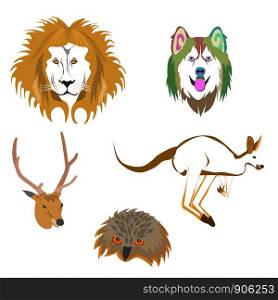 Drawing of various animal heads on white background