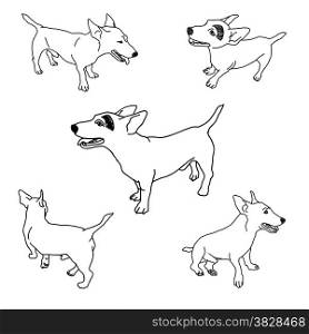 Drawing set of adorable jack russell on white background