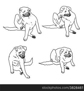 Drawing set of dog scratching itself from itching on white
