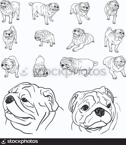 Drawing set of pug in many pose
