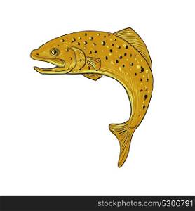 Drawing sketch style illustration of a a spotted brown Trout jumping viewed from side on isolated background.. Brown Trout Jumping Drawing