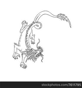Drawing sketch style illustration of a Chinese dragon going down, stalking and looking up on isolated white background done in black and white.. Chinese Dragon Stalking Drawing