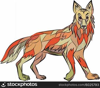 Drawing sketch style illustration of a coyote wild dog viewed from the side facing front set on isolated white background. . Coyote Side Isolated Drawing