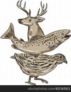 Drawing sketch style illustration of a deer, trout and quail viewed from the side set on isolated white background.