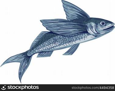 Drawing sketch style illustration of a flying fish or Exocoetidae, a family of marine fish in the order Beloniformes class Actinopterygii viewed from the side set on isolated white background