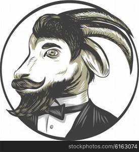 Drawing sketch style illustration of a goat ram with big horns and moustache beard owearing tie tuxedo suit looking to the side set inside circle. . Goat Beard Tie Tuxedo Circle Drawing