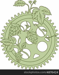 Drawing sketch style illustration of a Hop plant Humulus lupulus with flowers and seed cones or strobiles intertwined on a vintage single ring crank set on isolated white background. . Vintage Single Ring Crank Hops Drawing