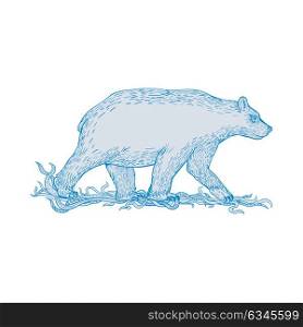 Drawing sketch style illustration of a polar bear, carnivorous bear in the Artic Circle, walking viewed from side on isolated background.. Polar Bear Walking Side Drawing
