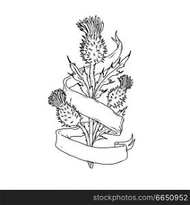 Drawing sketch style illustration of a Scottish thistle with ribbon or scroll wrap around on isolated white background.. Scottish Thistle With Ribbon Drawing Black and White