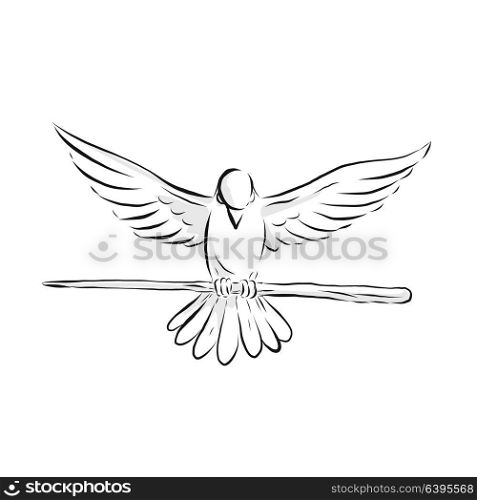 Drawing sketch style illustration of a soaring dove or pigeon with wing spread clutching a wooden staff or cane viewed from front on isolated background.. Soaring Dove Clutching Staff Front Drawing