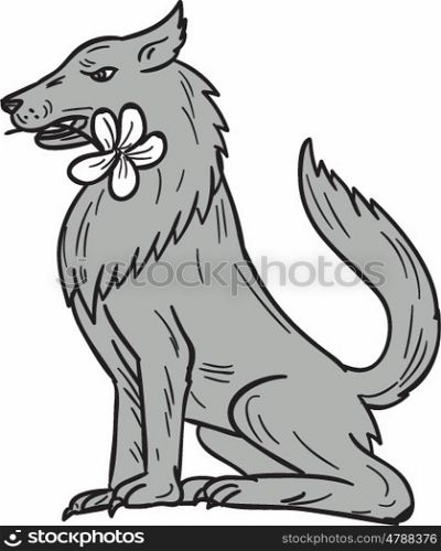 Drawing sketch style illustration of a timber wolf sitting biting holding a plumeria flower in mouth viewed from the side set on isolated white background. . Timber Wolf Sitting Plumeria Flower Drawing