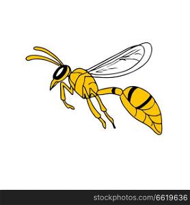 Drawing sketch style illustration of a wasp or hornet flying viewed from side on isolated white background.. Wasp Flying Drawing
