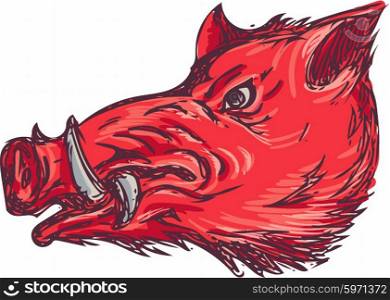 Drawing sketch style illustration of a wild pig boar razorback head viewed from the side set on isolated white background. . Wild Boar Razorback Head Side Drawing