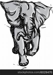 Drawing sketch style illustration of an african elephant rampaging viewed from front on isolated white background.. Elephant Rampaging Isolated Drawing