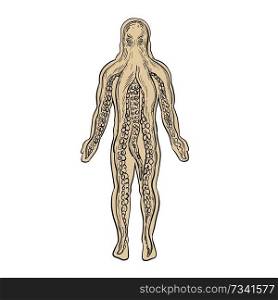Drawing sketch style illustration of an alien octopus inside a human body and taking over it viewed from front on isolated white background.. Alien Octopus Inside Human Body Drawing