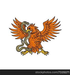 Drawing sketch style illustration of an American golden eagle, Mexican eagle or northern crested caracara grappling a rattlesnake, viper, snake or serpent in black and white on isolated background.. Golden Eagle Grappling Rattlesnake Drawing