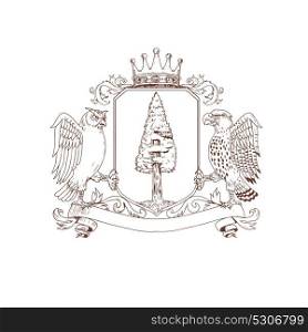 Drawing sketch style illustration of coat of arms showing an Owl and Hawk as supporters on side with Redwood tree and nest inisde crest and Crown on top and ribbon banner scroll below on isolated background.. Owl and Hawk Redwood Crown Crest Drawing