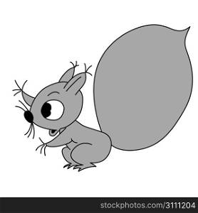 drawing squirrel on white background, vector illustration