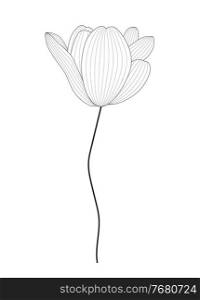 Drawn black and white tulip by contour line. Vector Illustration. EPS10. Drawn black and white tulip by contour line. Vector Illustration