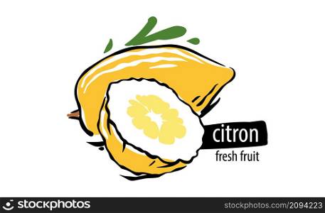 Drawn vector citron on a white background.. Drawn vector citron on a white background