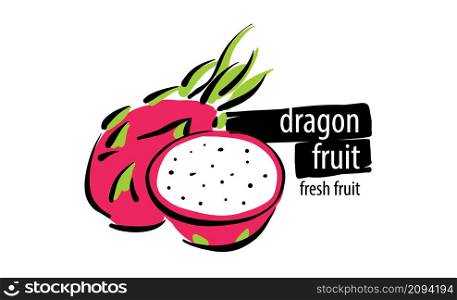 Drawn vector dragon fruit on a white background.. Drawn vector dragon fruit on a white background