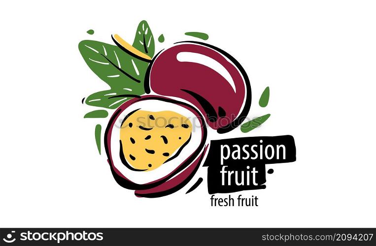 Drawn vector passion fruit on a white background.. Drawn vector passion fruit on a white background
