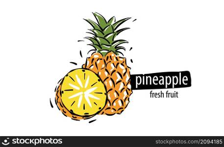 Drawn vector pineapple on a white background.. Drawn vector pineapple on a white background