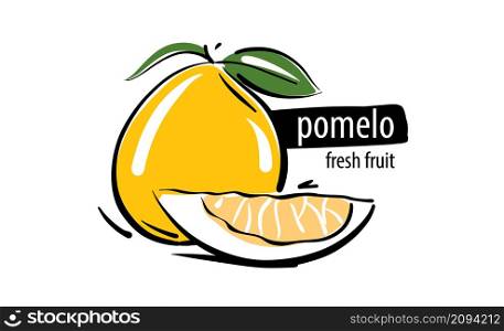 Drawn vector pomelo on a white background.. Drawn vector pomelo on a white background