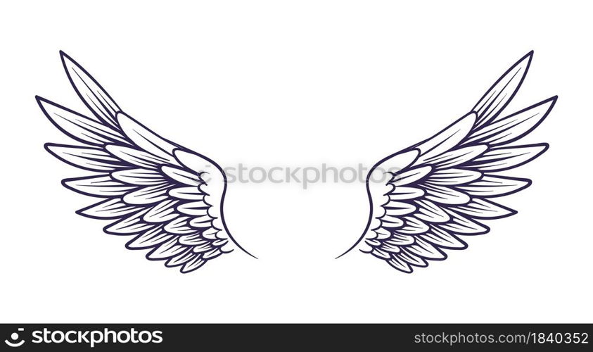 Drawn wing. Angel wings with feathers, elements for logo, label or tattoo. Stencil silhouettes vintage. Sketch style vintage item, badge, emblem or label decor. Vector hand drawn isolated illustration. Drawn wing. Angel wings with feathers, elements for logo, label or tattoo. Stencil silhouettes vintage. Sketch style vintage item, badge, emblem or card decor, vector hand drawn illustration