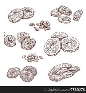 Dried fruits and candied berries isolated vector sketches. Dates, raisins and prunes, dried apricots and figs, pineapple and banana monochrome sketches. Candied berries and dried fruits food sketches
