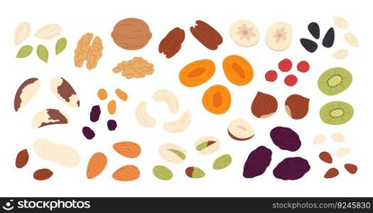 Dried fruits seeds and nuts. Crunchy fruit, dry fresh nut, banana, apricot. Granola cereal, morning nature healthy food. Breakfast or snack vector set of seed, fresh ingredient isolated illustration. Dried fruits seeds and nuts. Crunchy fruit, dry fresh nut, banana, apricot. Granola cereal, morning nature healthy food. Breakfast or snack racy vector set