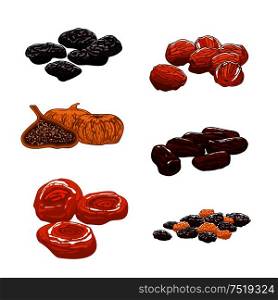 Dried Fruits set. Isolated vector icons of raisins, dates, figs, apricots, plums, prunes. Sweet and dessert snacks. Dried Fruits set. Isolated vector icons