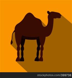 Dromedary camel icon. Flat illustration of dromedary camel vector icon for web isolated on yellow background. Dromedary camel icon, flat style
