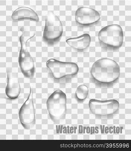 Drops of water on a transparent background. Vector.