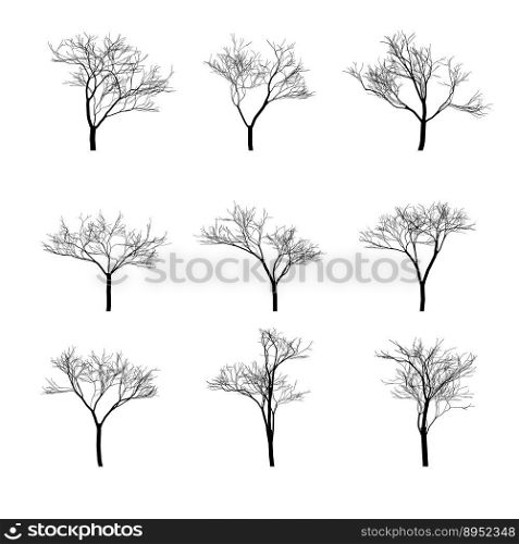 Dry bare trees silhouette set vector image