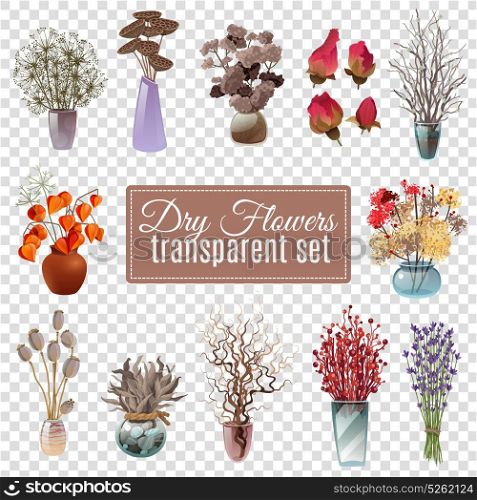 Dry Flowers Transparent Set. Set of dry flowers bouquets in vases of various shapes and sizes for decoration on transparent background flat vector illustration