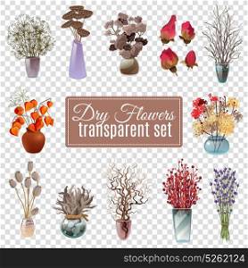 Dry Flowers Transparent Set. Set of dry flowers bouquets in vases of various shapes and sizes for decoration on transparent background flat vector illustration