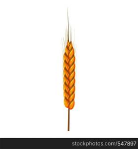 Dry wheat spikelet icon. Cartoon illustration of wheat ears vector icon for web design. Dry wheat spikelet icon, cartoon style